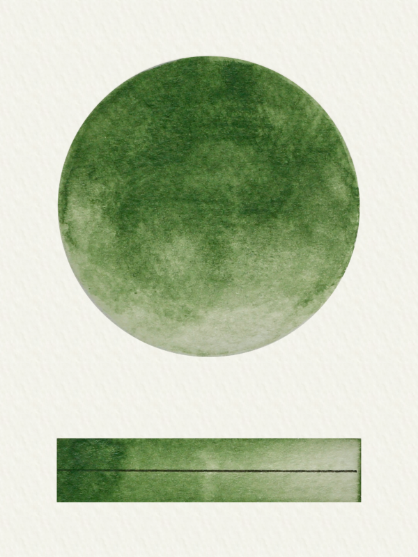 Green Oxide - An earthy mid tone green. Recommended in a starter palette. Handmade Watercolour by Art Scribe. Hand mulled in Devon by professional artists.