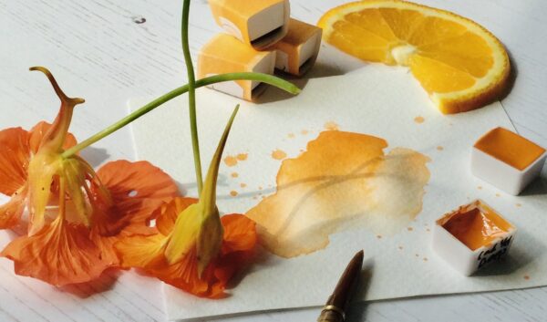 A splash of Art scribe handmade watercolour paint cadmium yellow deep on paper with a slice of orange and orange flowers of similar tones.